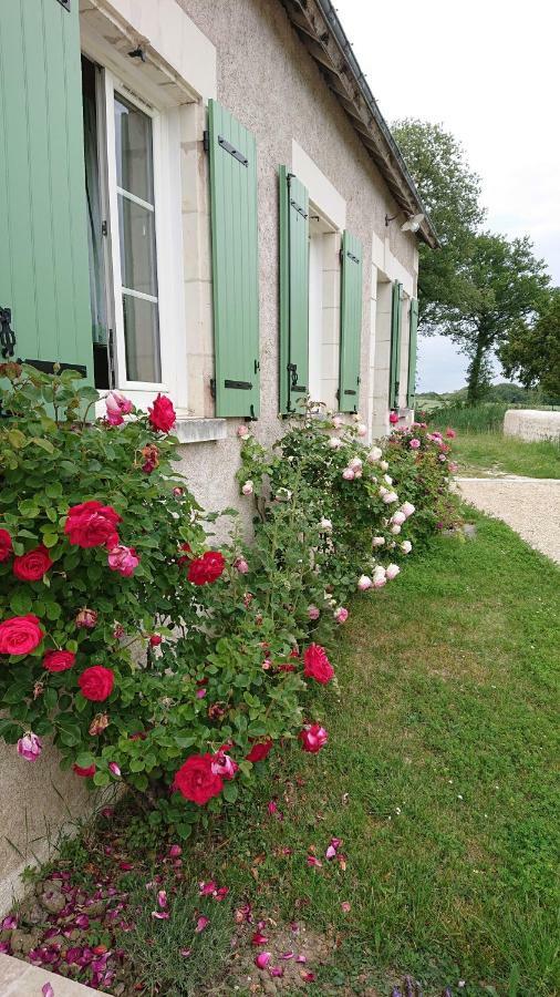Longere Du Sud Touraine Au Coeur Du Val De Loire Villa Saint-Jean-Saint-Germain Eksteriør bilde